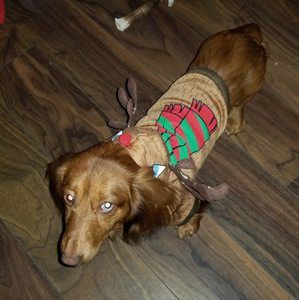 Meet your Posher, Janice